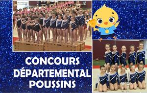 LES POUSSINES AU SOMMET 🐣