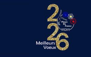 Meilleurs Voeux 2026