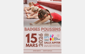 BADGES POUSSINES