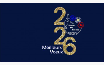 Meilleurs Voeux 2026