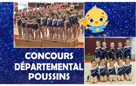 LES POUSSINES AU SOMMET 🐣